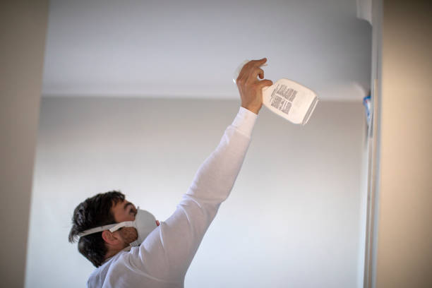 Best Residential Mold Removal  in Eleele, HI